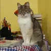 Отзыв от Яна Мартынова